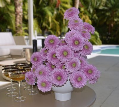 Monobloom arrangement comprised of