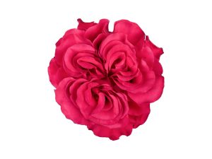 Exotix Berry flower, Ah!Maze Rose