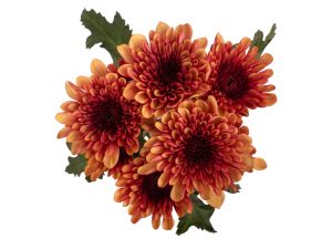 Pompon cushion